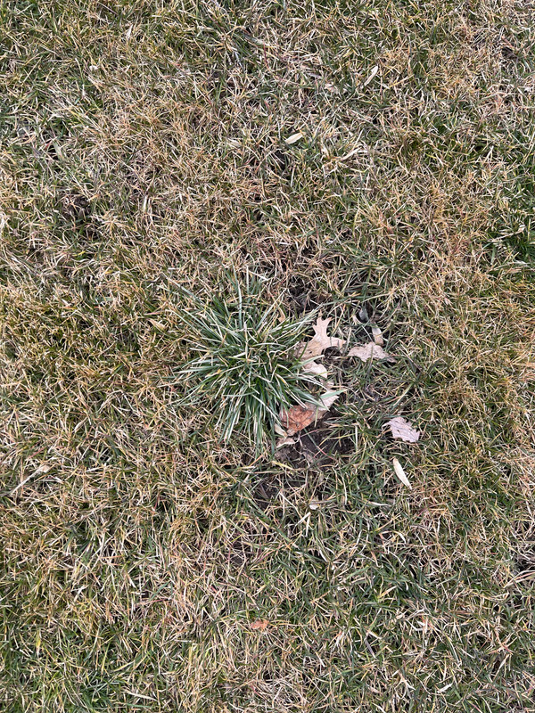 EB710F3F-4808-4E44-82C3-3163A8E29DF2