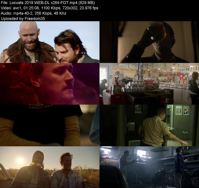 Locusts-2019-WEB-DL-x264-FGT.jpg