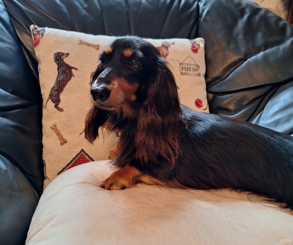 [Image: 20240923-172142.jpg]