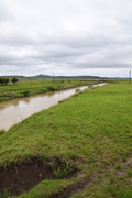 DSC-0172