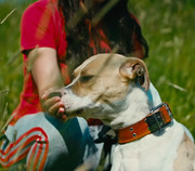 Screenshot_20230627_233933_Gallery