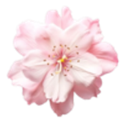 tumblr-60af7fa0948d2e467b09e1c7873a596a-b14347d0-250