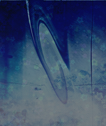 Tumblr l 502288958333755