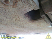 IMG-7564