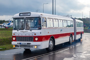IMG-4599