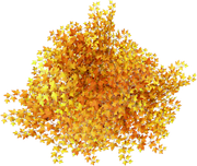 TADD_elements_Shimmer_Fall_34