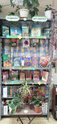 IMG-20230707-155123