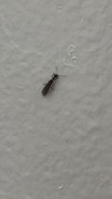 2EFBD683-C37E-4C0E-B295-26DC2E045288