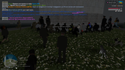 mta-screen-2026-05-08-20-33-33