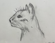 Bipolar check-in thread #90