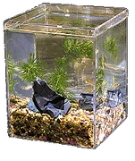 tumblr a1c334c7de14b3d01de3757ff38e52ce a0e9dcc1 250