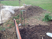 Kompostmiete Aus Drei mach Eins 2.Okt. 2015 (24)