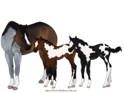 3725825E-EF1E-4171-8A4A-F0440A83AF31