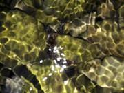 Abstract-A-Shapes-Assembled-Colorful-Art-Publicdomain-(4)