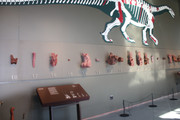 IMG-0749