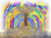 2957119840046342459oamzqa_fs