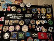 PXL 20260220 213318834