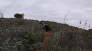 IMG-20251227-120417