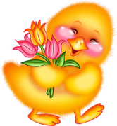 KBK-Pretty-Rabbit-26