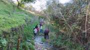 IMG-20260117-105631