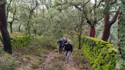 IMG-20260117-120613