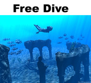 free-dive
