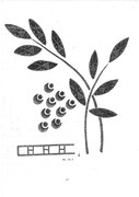 Krasichkova-Khudozhestvennoe-vyshivanie-115
