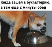 a4616430b01b09c0f5342bb343c12a22.jpg
