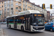 IMG-2177