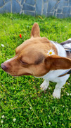 IMG-20250412-WA0002
