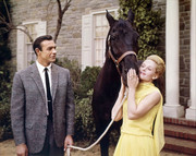 tippi-hedren-d83