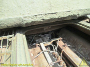 IMG-5667