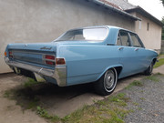 104240876_261154294972019_8683337340512933090_n