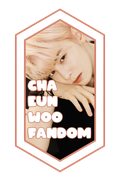 banner01chaeunwoofandom