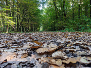 PXL_20211004_150830471