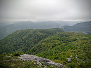 IMG-20150818-143559