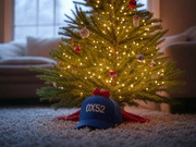 photo_3796@25-12-2024_02-07-41