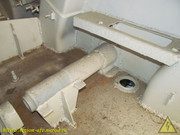 IMG-3464