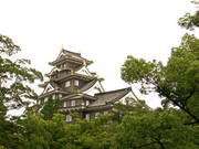 [Image: DSC02075-ok.jpg]