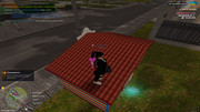IMG-6385