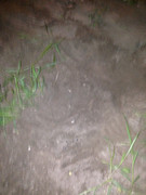 IMG_20190507_091759_470