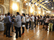 XVII Kedada Deauvillera (166)a