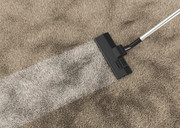 Trusted Carpet Cleaning Lake Forest,