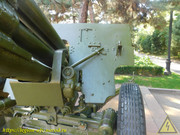 DSCN6735