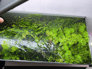 20220903_060805204_iOS