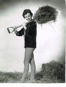 hazel-court-a72