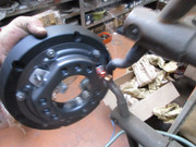 IMG-5700.jpg