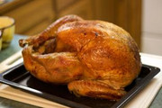 Thanksgiving Turkey (Medicated)