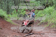 IMG-6343