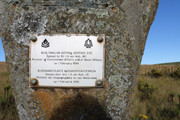 IMG-0164